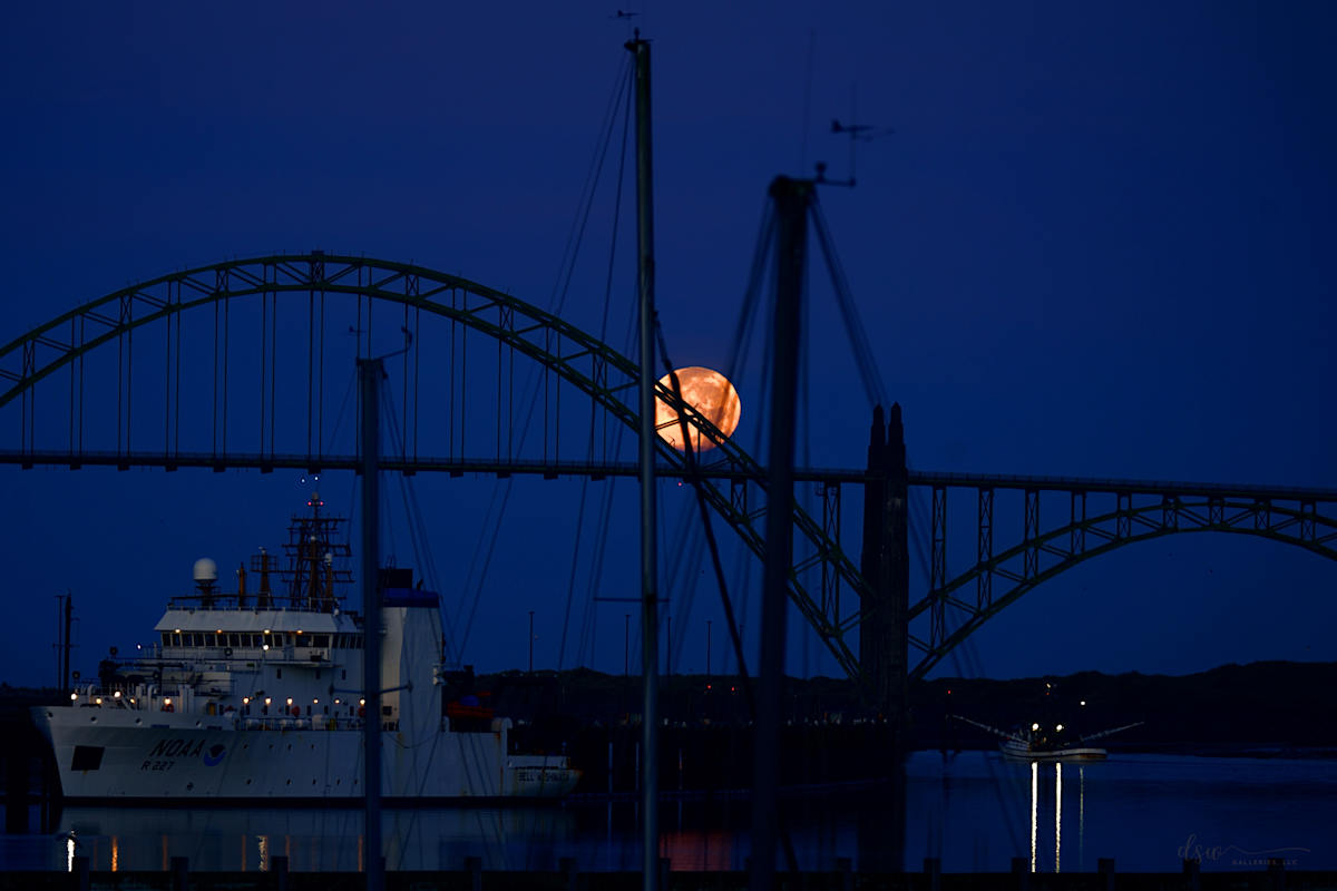 Sturgeon in Blue Hour by Jeremy Likness, Image 1.