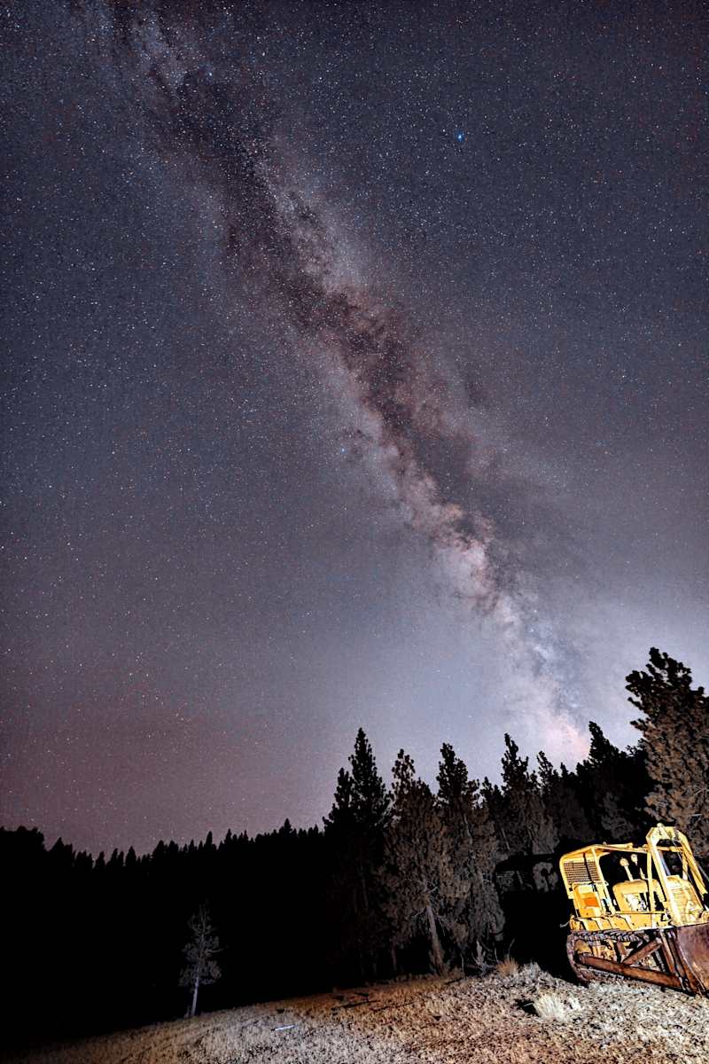 Old Cat by Jeremy Likness  Image: Old Cat