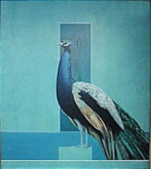 Peacock by Bryan Organ, Image 1.
