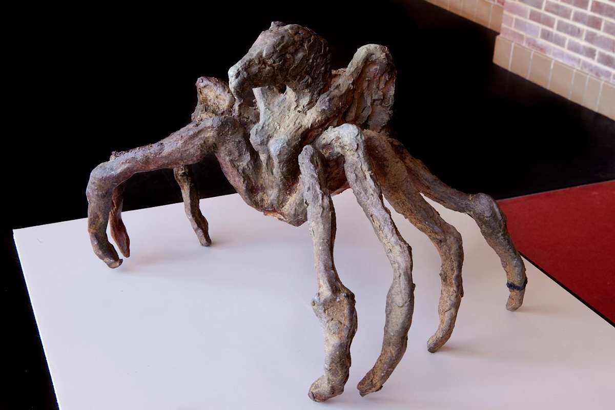 Avis Arachnea by Elizabeth Ann Huffman, Image 1.
