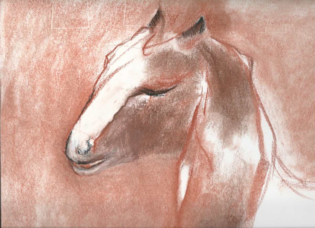 Potato the Goat by Elizabeth Ann Huffman  Image: Figure Drawing Session in Art School 