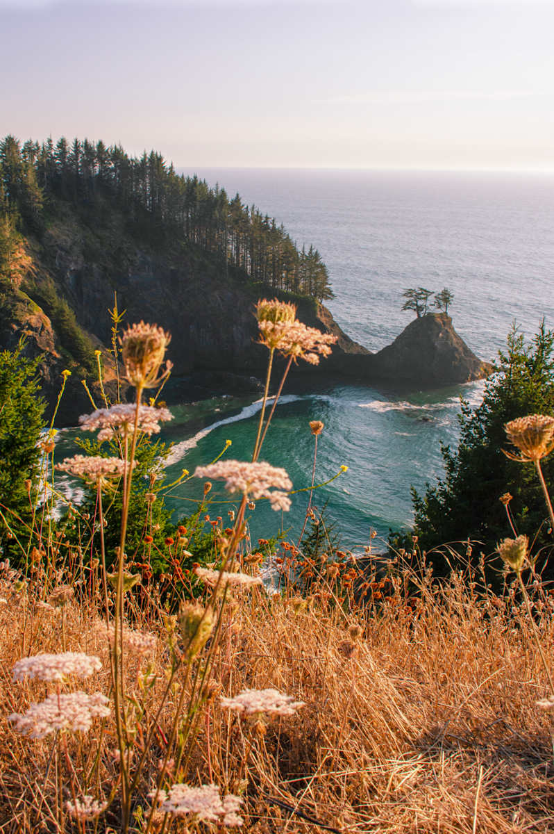 Love Letter No. 8 by Cat Atom 