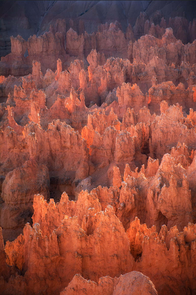 Love Letter No. 10 by Cat Atom 