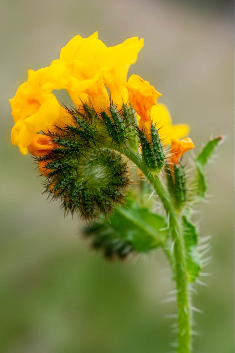 Love Letter No. 11 by Cat Atom 