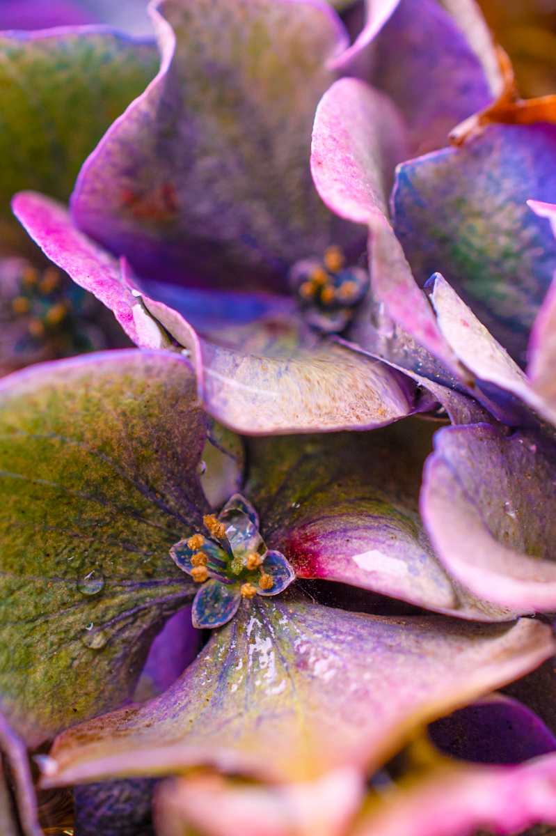 Love Letter No. 12 by Cat Atom 