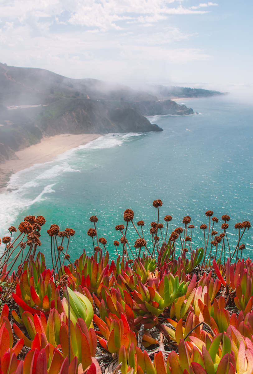 Love Letter No. 18 by Cat Atom 