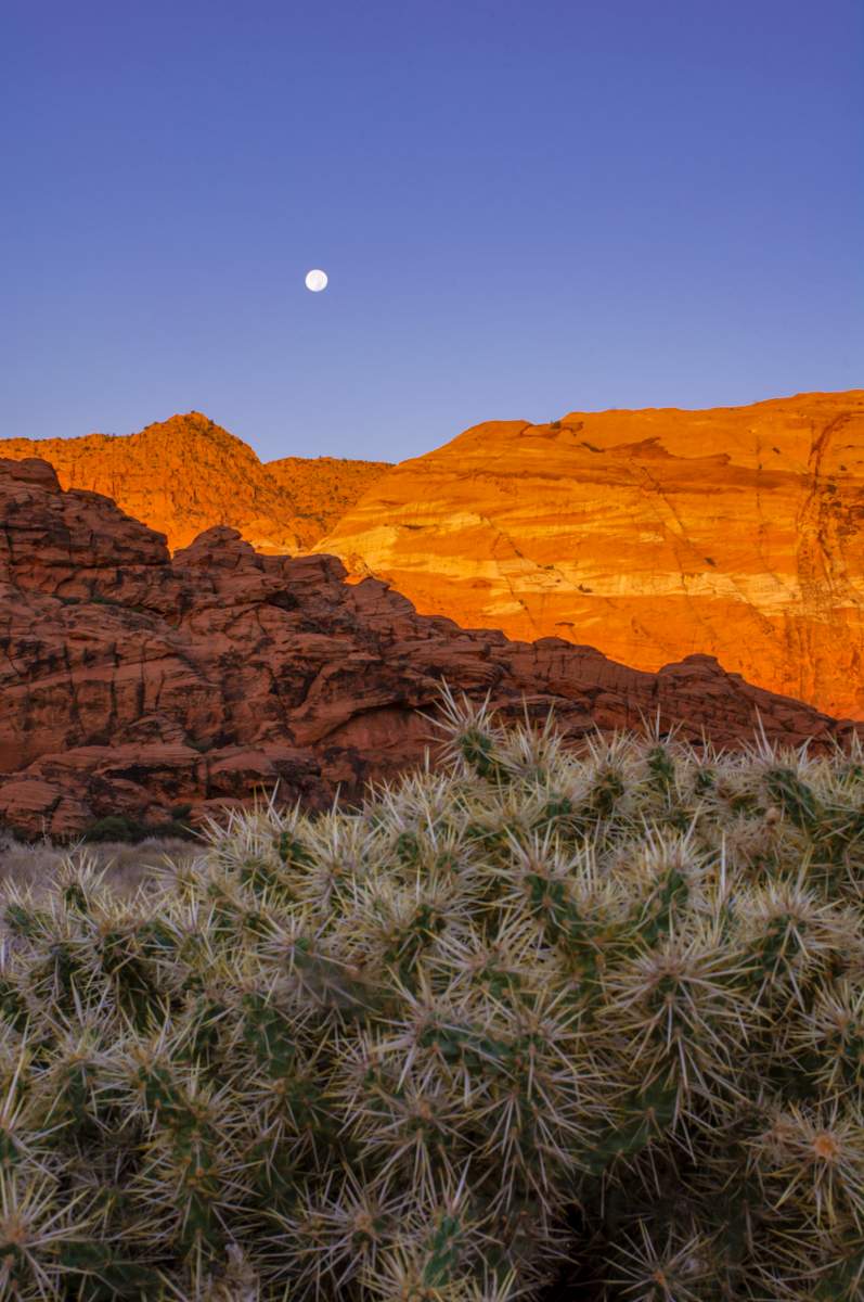 Love Letter No. 5 by Cat Atom 