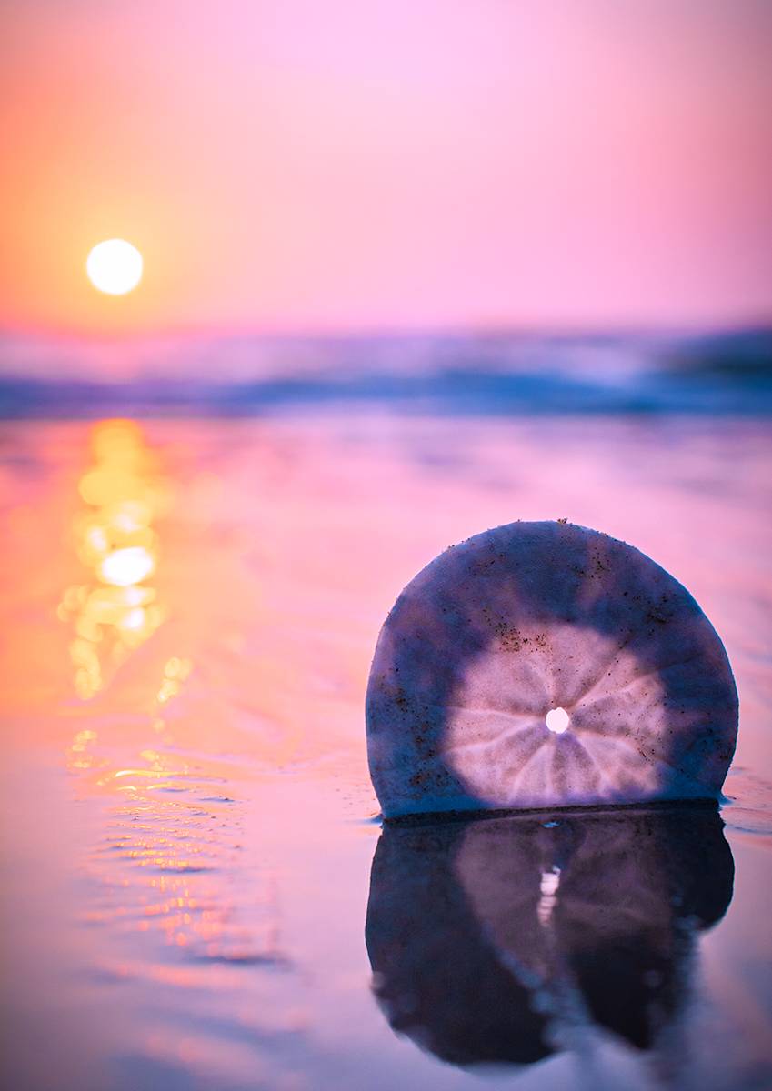 Love Letter No. 3 by Cat Atom 