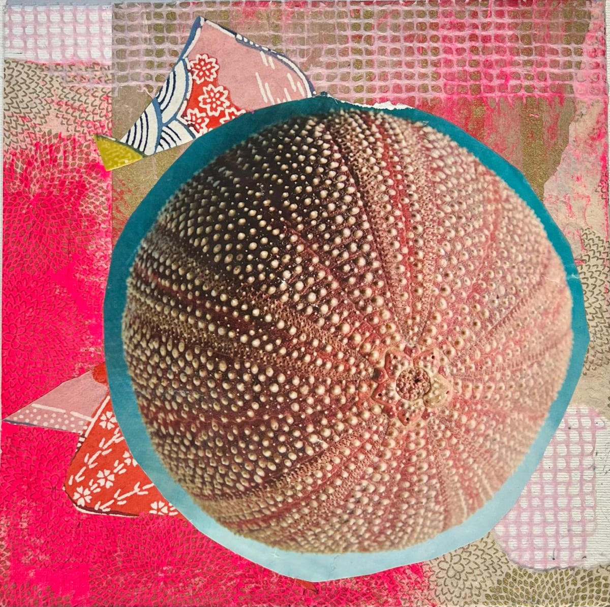 Radial by Marjorie Schwartz 
