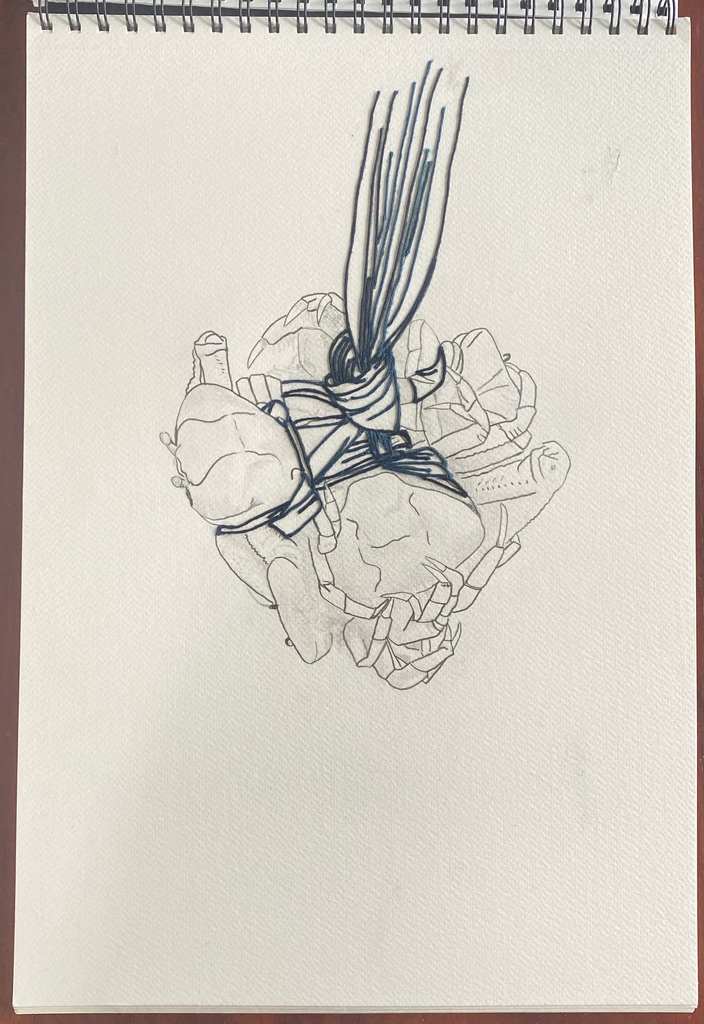 Crab gang, drawing by Grace Guirola 