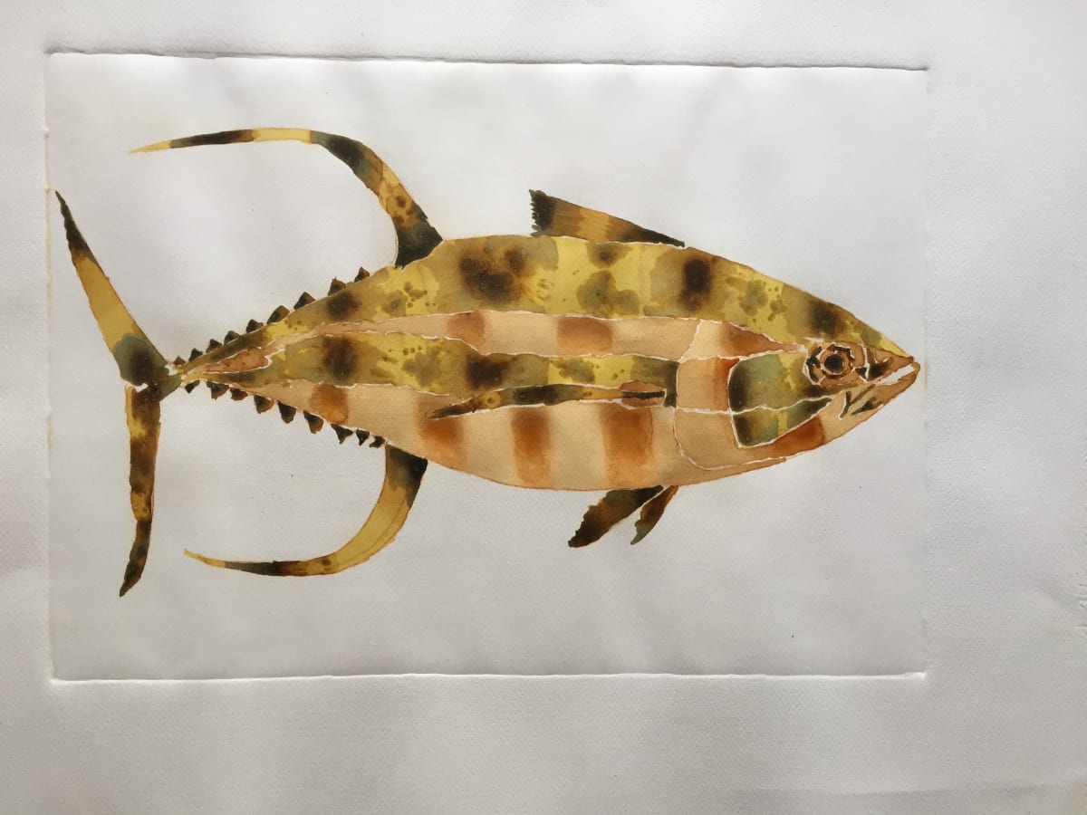 Yellow fin tuna, right by Grace Guirola, Image 1.