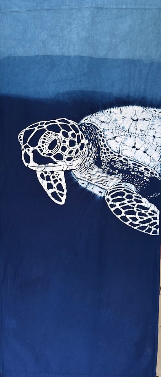 Tortuga Caray, Hawskbill turtle by Grace Guirola  Image: IUCN: Critically endangered red list,  costal turtle found in El Salvador