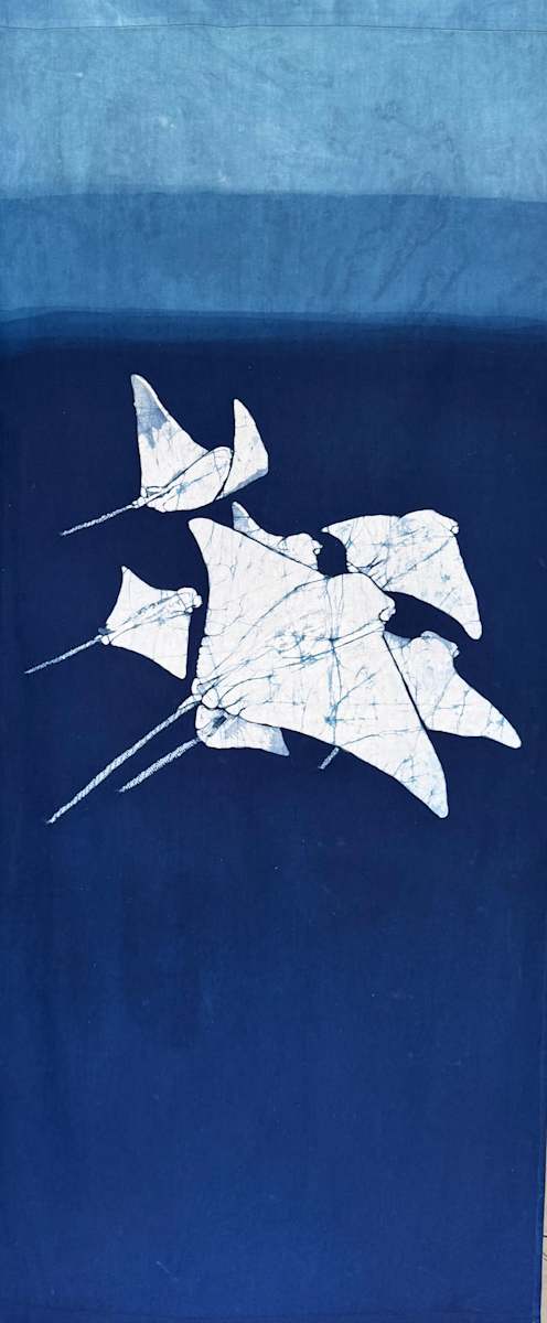 Gavilan dorado, cownose ray by Grace Guirola  Image: IUCN: Near Threatened red list.  Costal manta-rays found in El Salvador