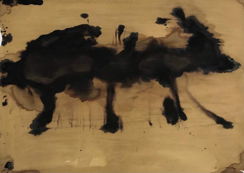 Chucho Aguacatero by Grace Guirola, Image 1.