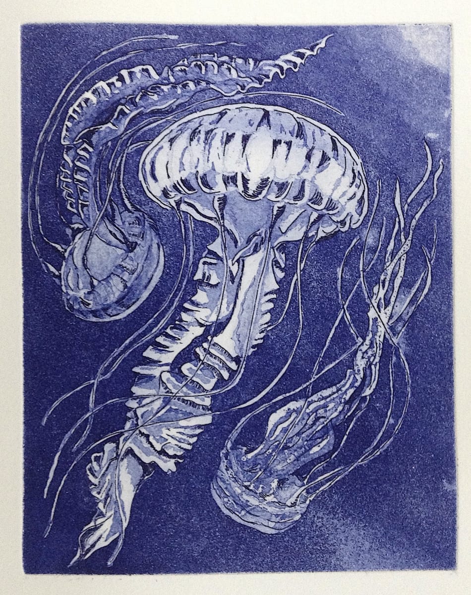 Melanaster by Grace Guirola, Image 1.