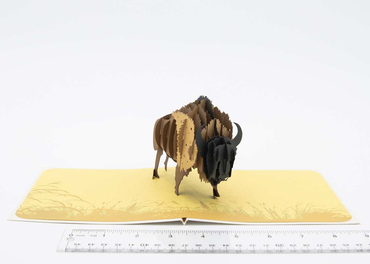CUTPOPUP Bison Card 