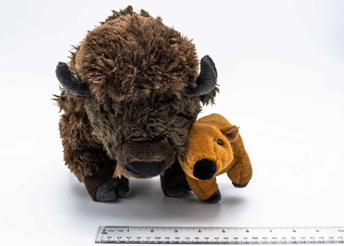 Wild Republic Bison and Reddog 