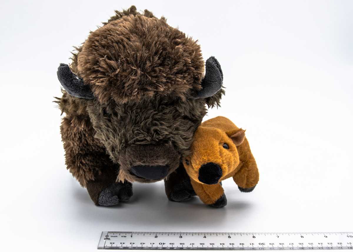 Wild Republic Bison and Reddog, Image 1.