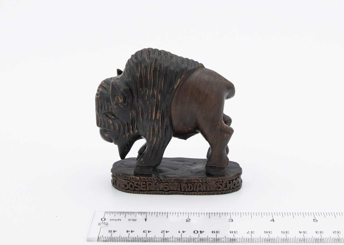 St Joseph's Indian School Bison, Image 5.