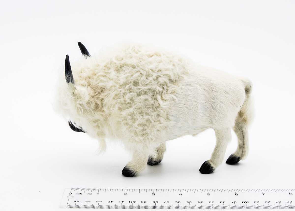 Native American Fur Bison 1 