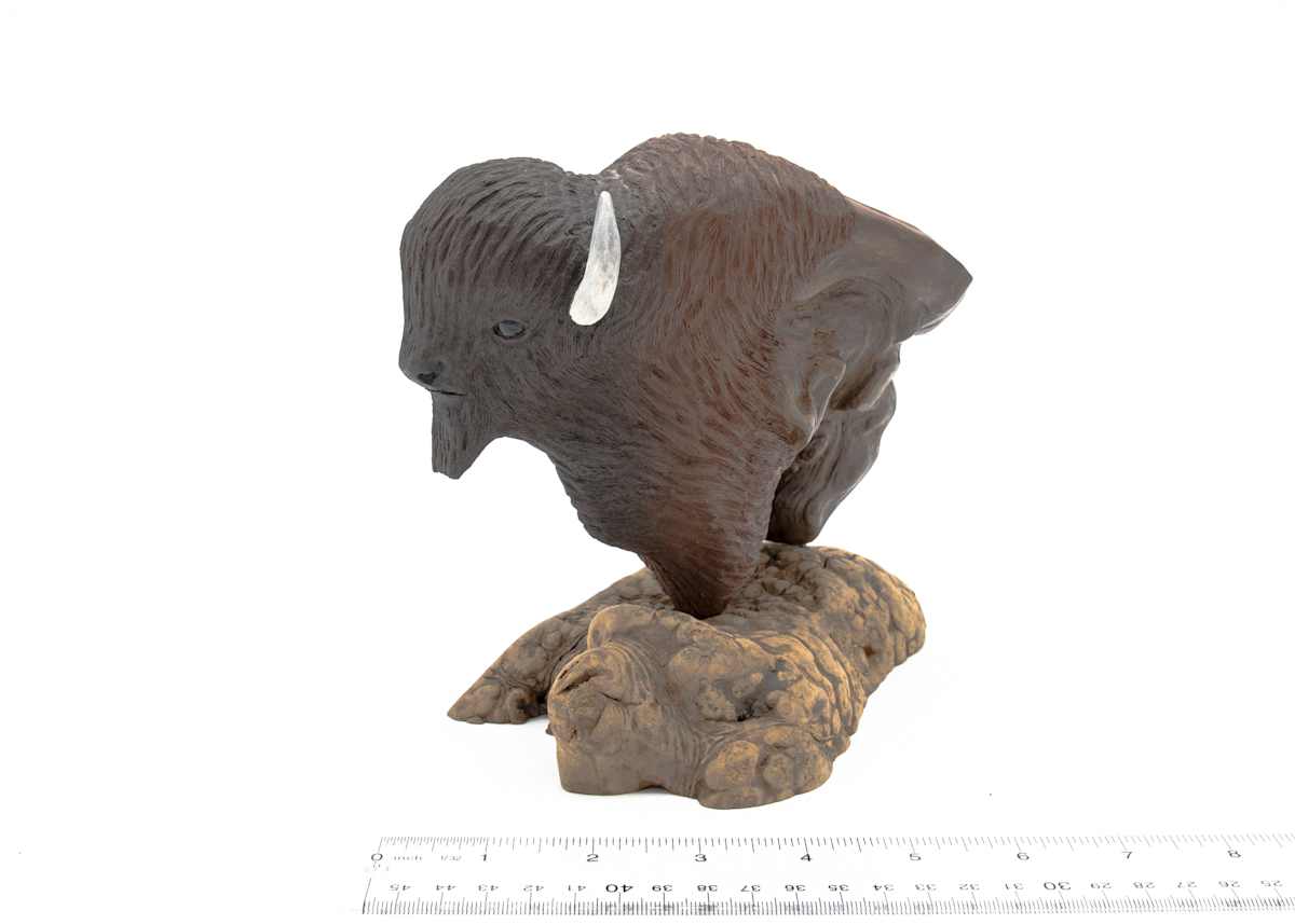 Bison Bust, Image 4.