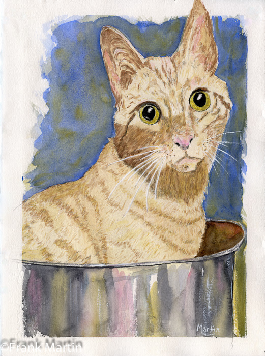 Cat Soup? by Frank Martin 