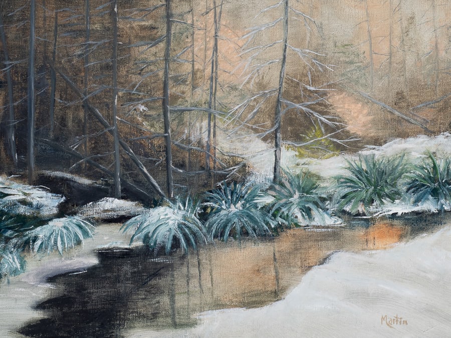 Frozen Stream by Frank Martin, Image 1.