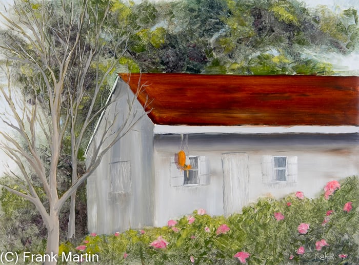 Garden Shed 