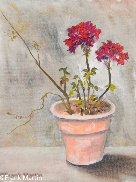 Kathy's Geranium by Frank Martin, Image 1.