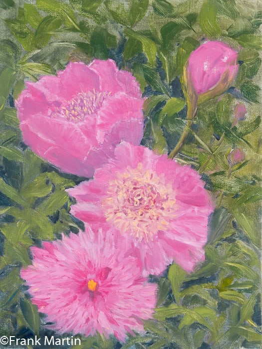 Kathy"s Peonies, Image 1.