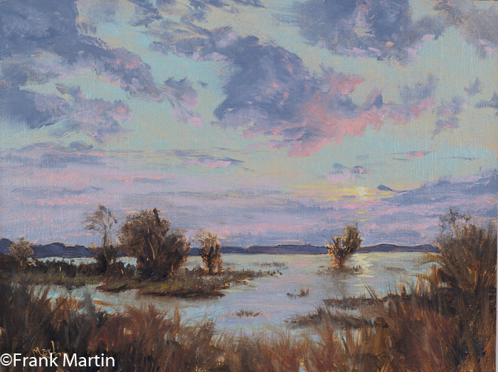 Marsh (after Christine Lashley) by Frank Martin 