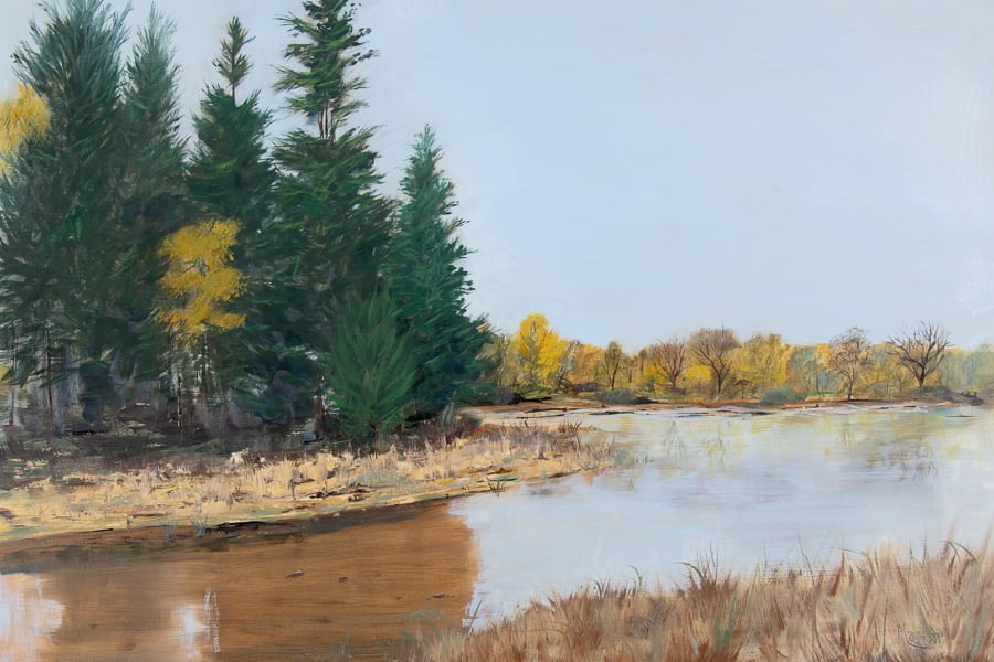 Reinstein Pond 4 by Frank Martin  Image: Reinstein Pond 4