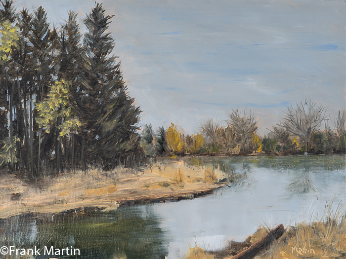 Reinstein Pond by Frank Martin 