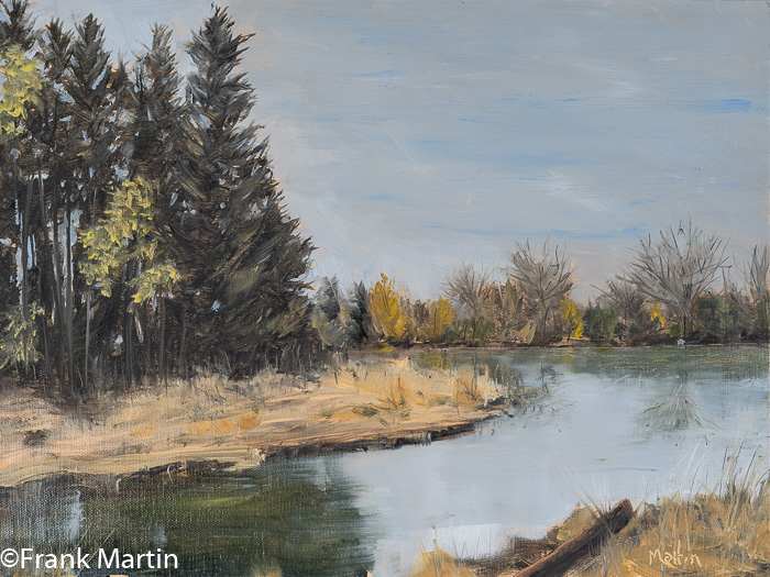 Reinstein Pond by Frank Martin, Image 1.