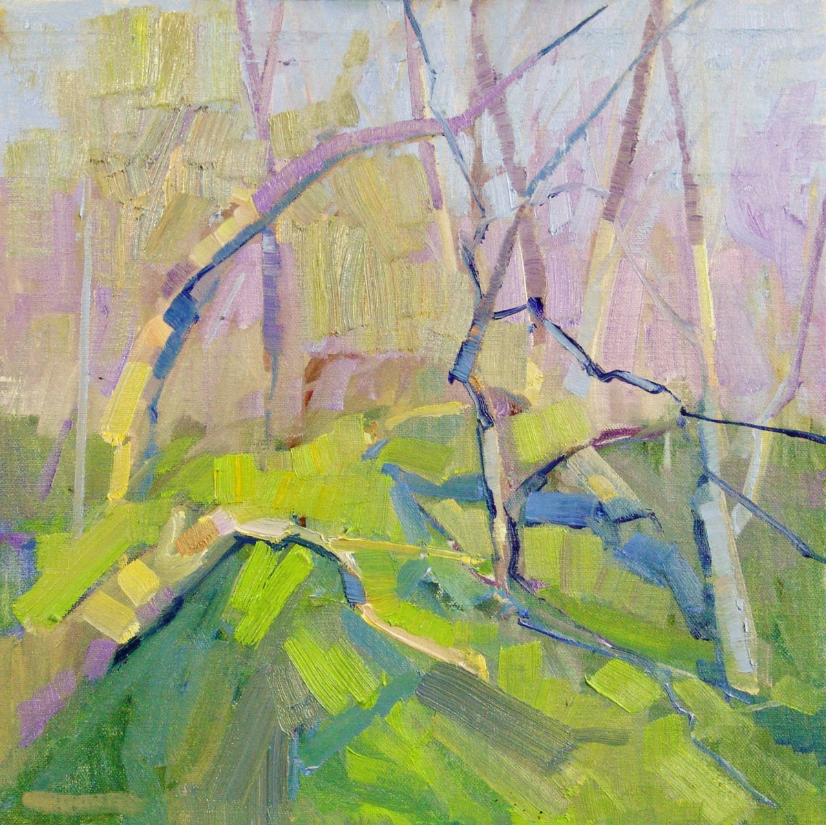 Aman Park Abstract, Image 1.