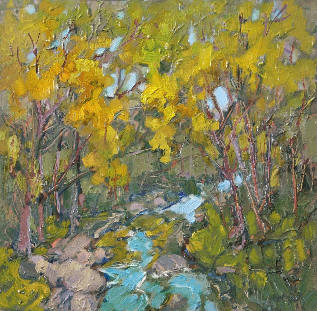 Barkley Creek by Barbara Schilling, Image 3.