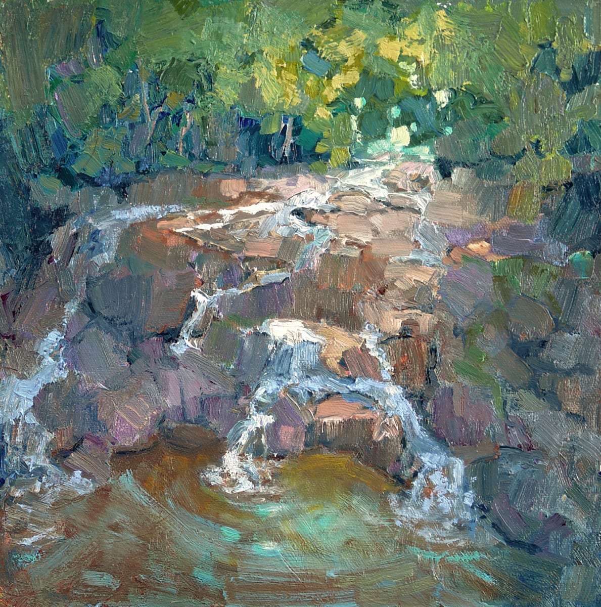 Basin Gorge by Barbara Schilling 