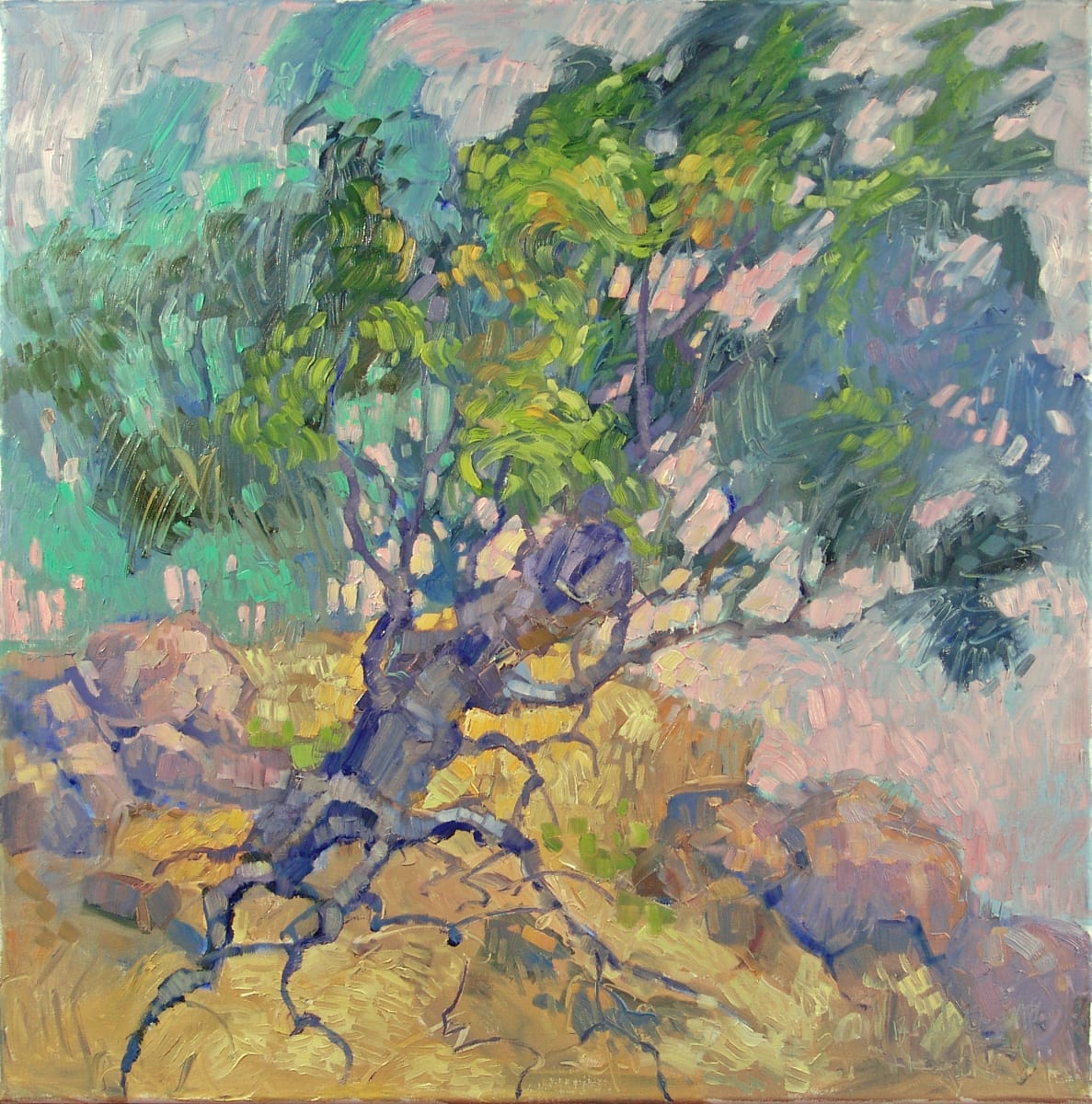 Grounded But Reaching for the Sky by Barbara Schilling 
