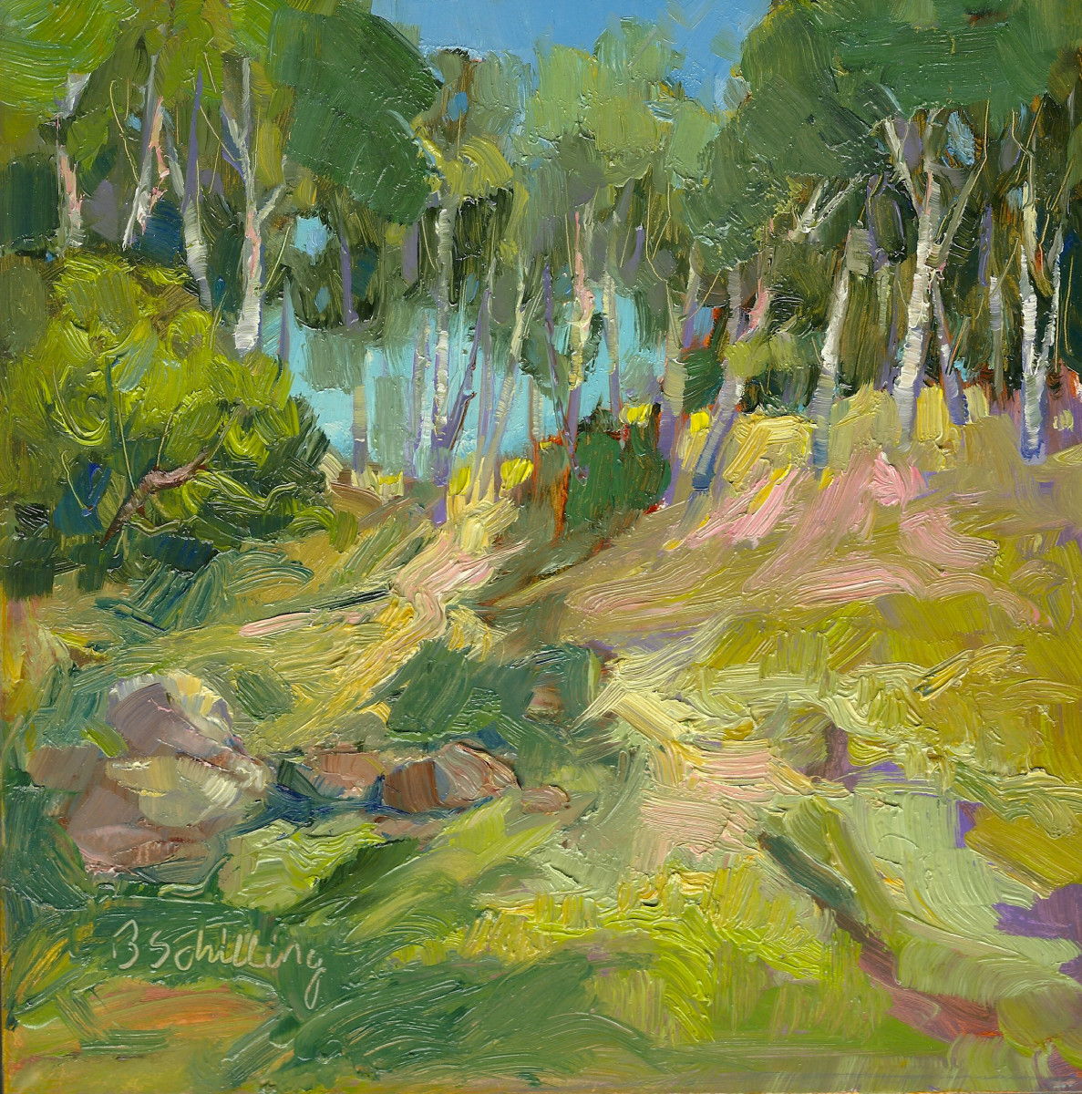 Dune Shadows by Barbara Schilling 