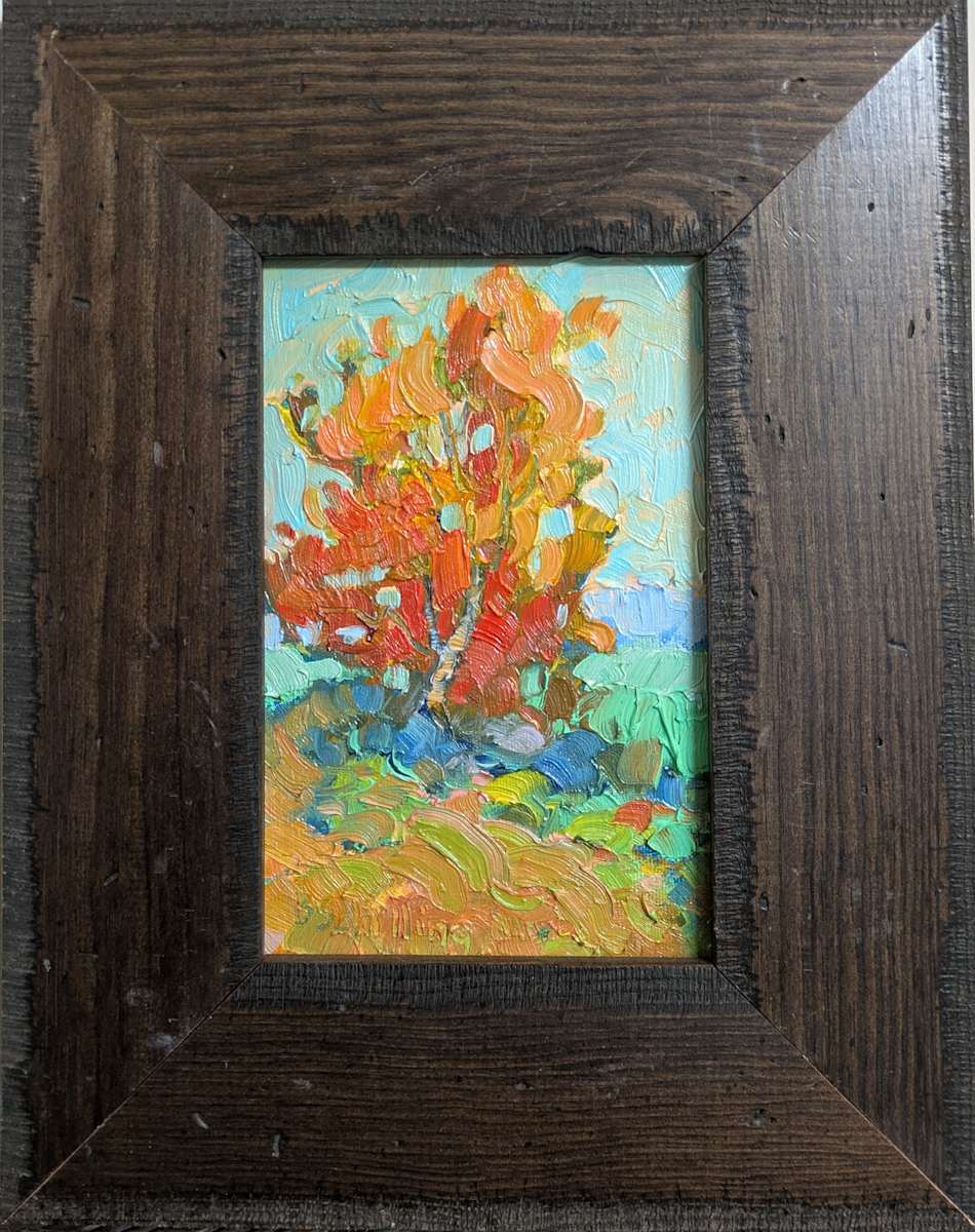 Fall Maple by Barbara Schilling 