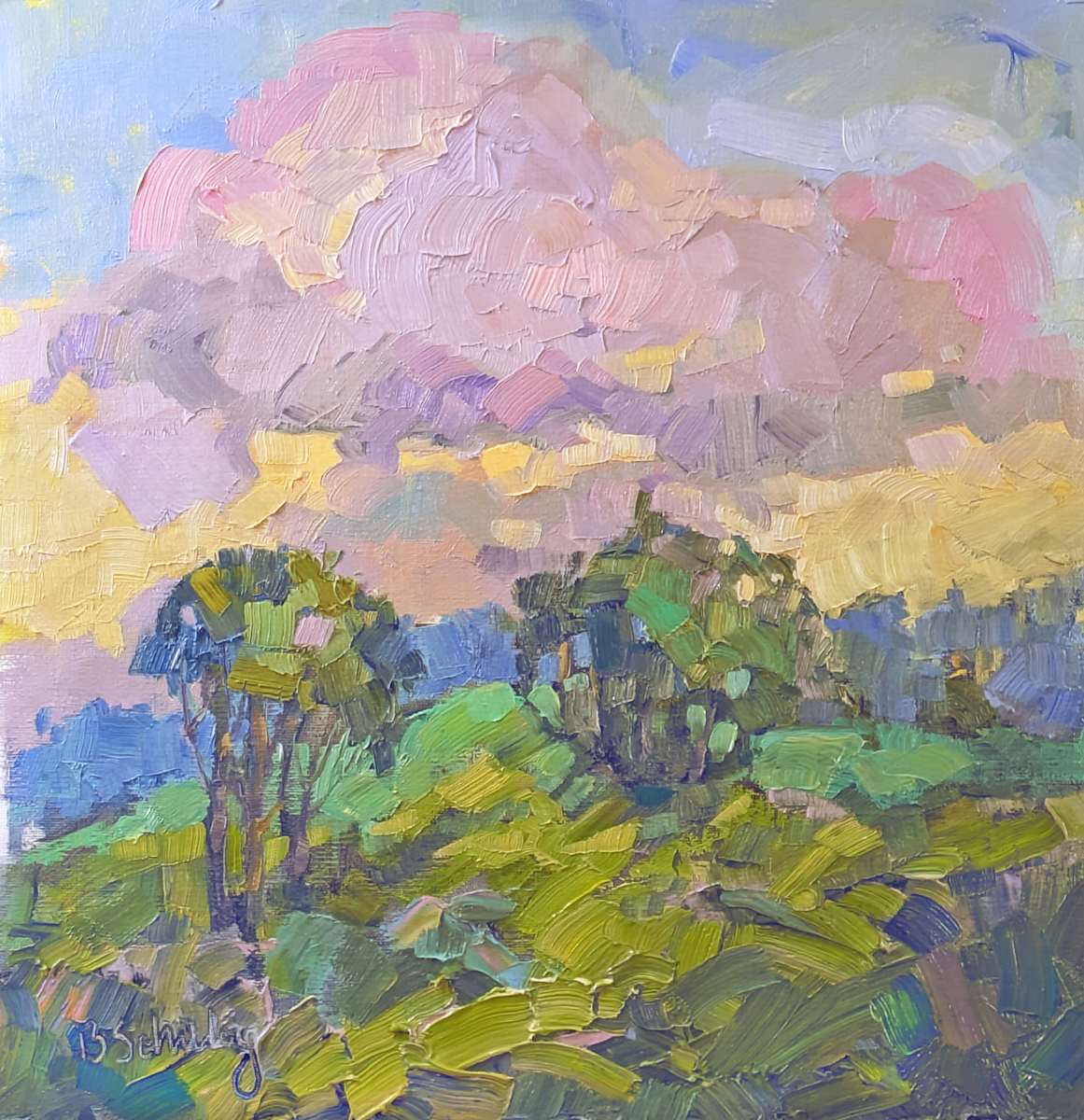 Patterns in the Sky by Barbara Schilling, Image 1.
