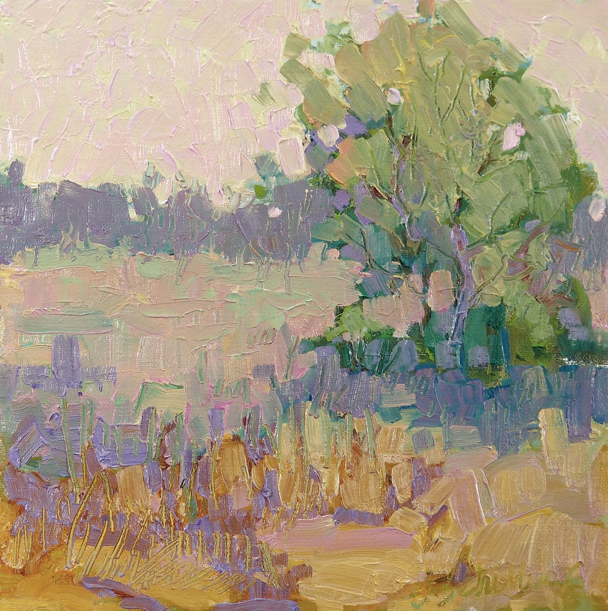 Purple Shadows by Barbara Schilling 