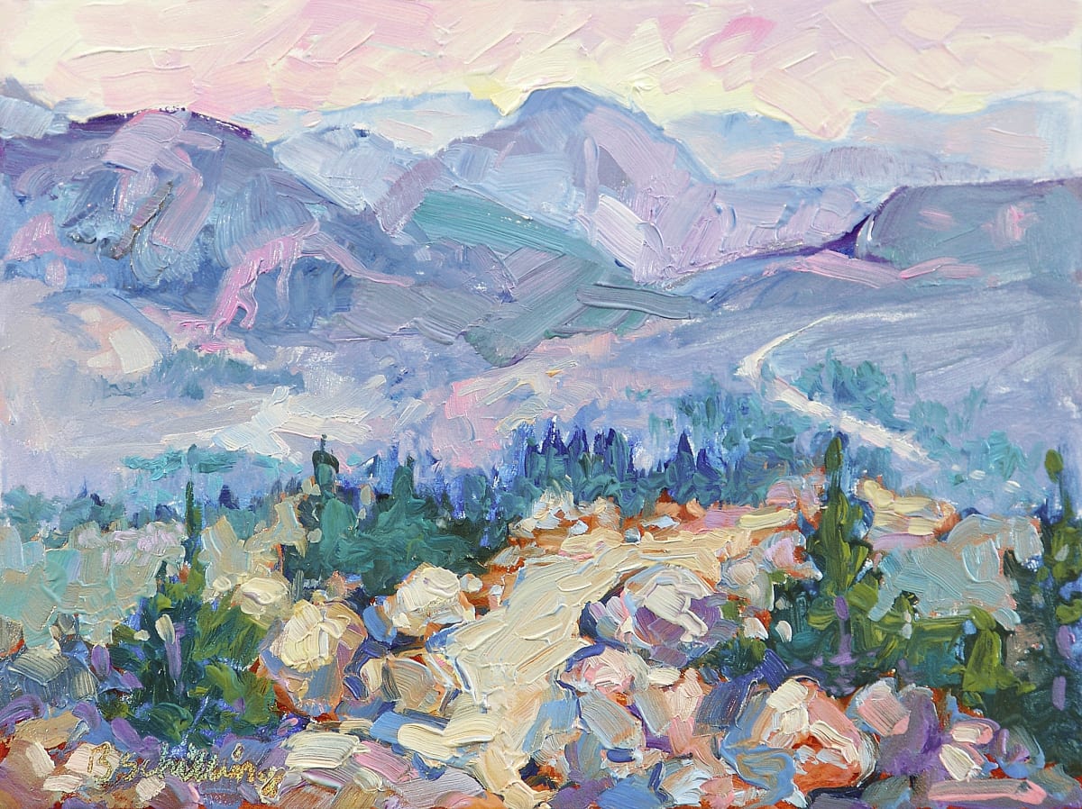 Rocky Mountain National Park by Barbara Schilling 
