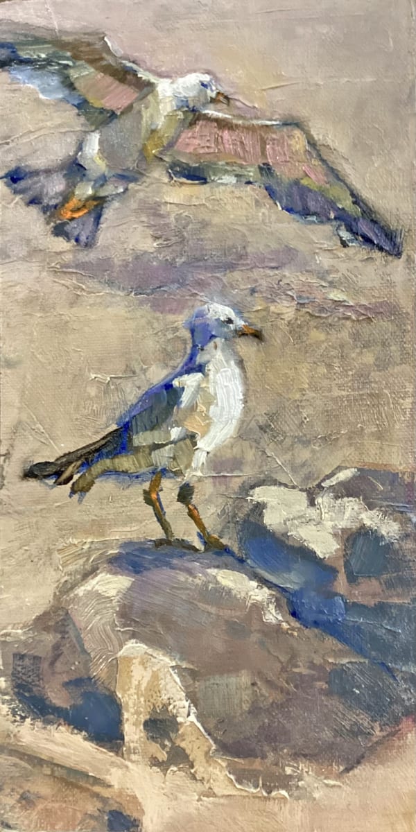 Seagulls Study by Barbara Schilling, Image 1.