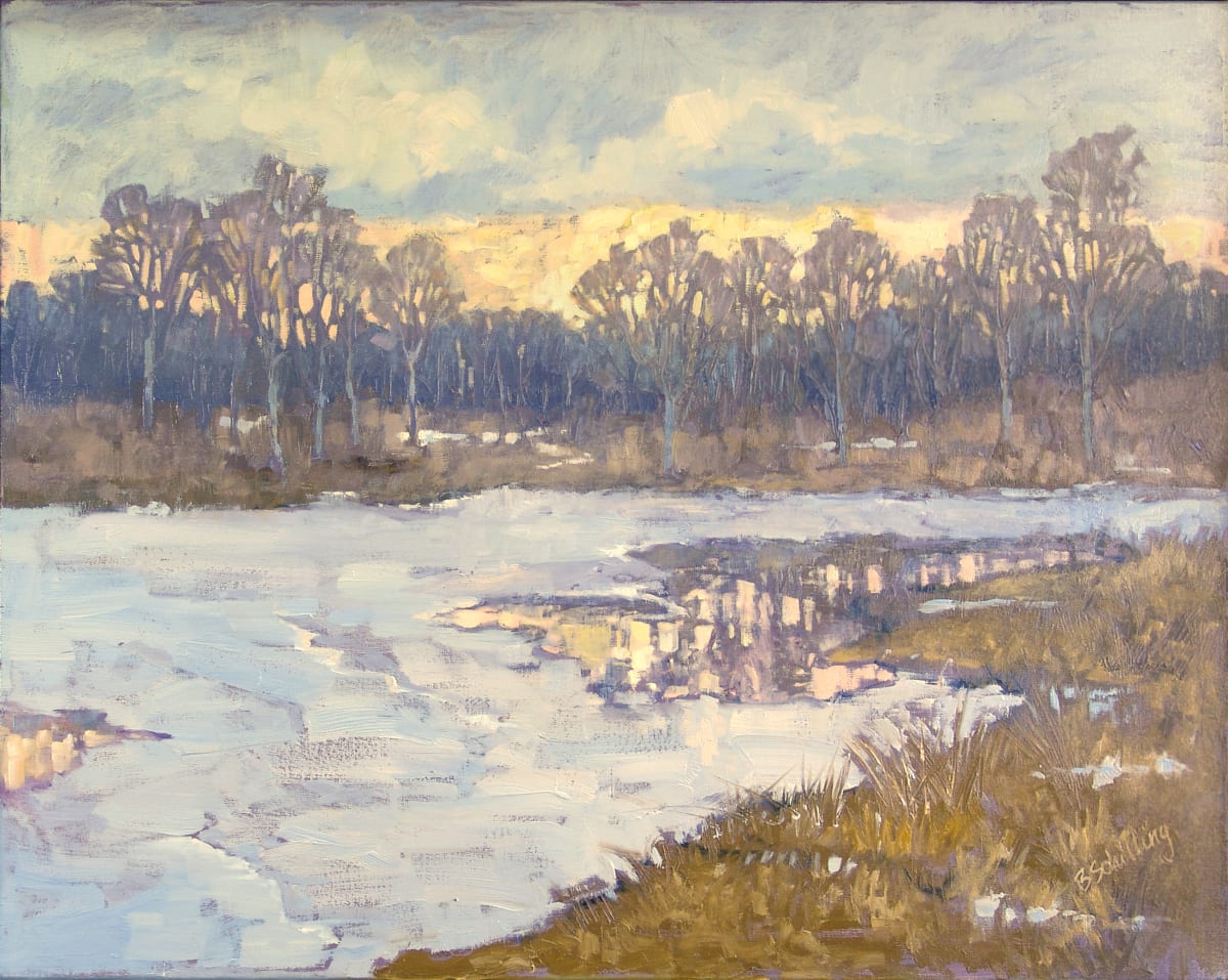 Settling Into Night by Barbara Schilling 