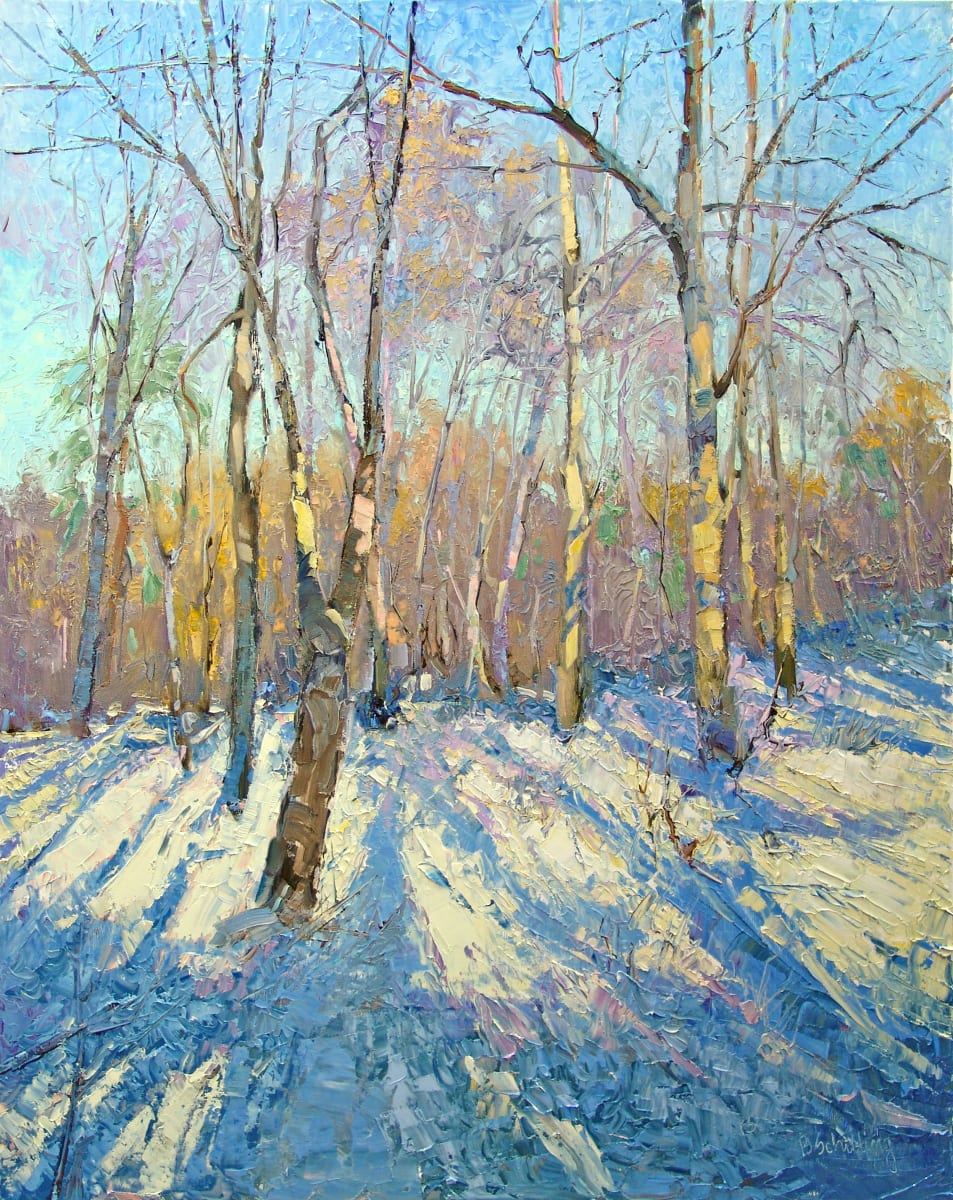 Snow Shadows by Barbara Schilling 