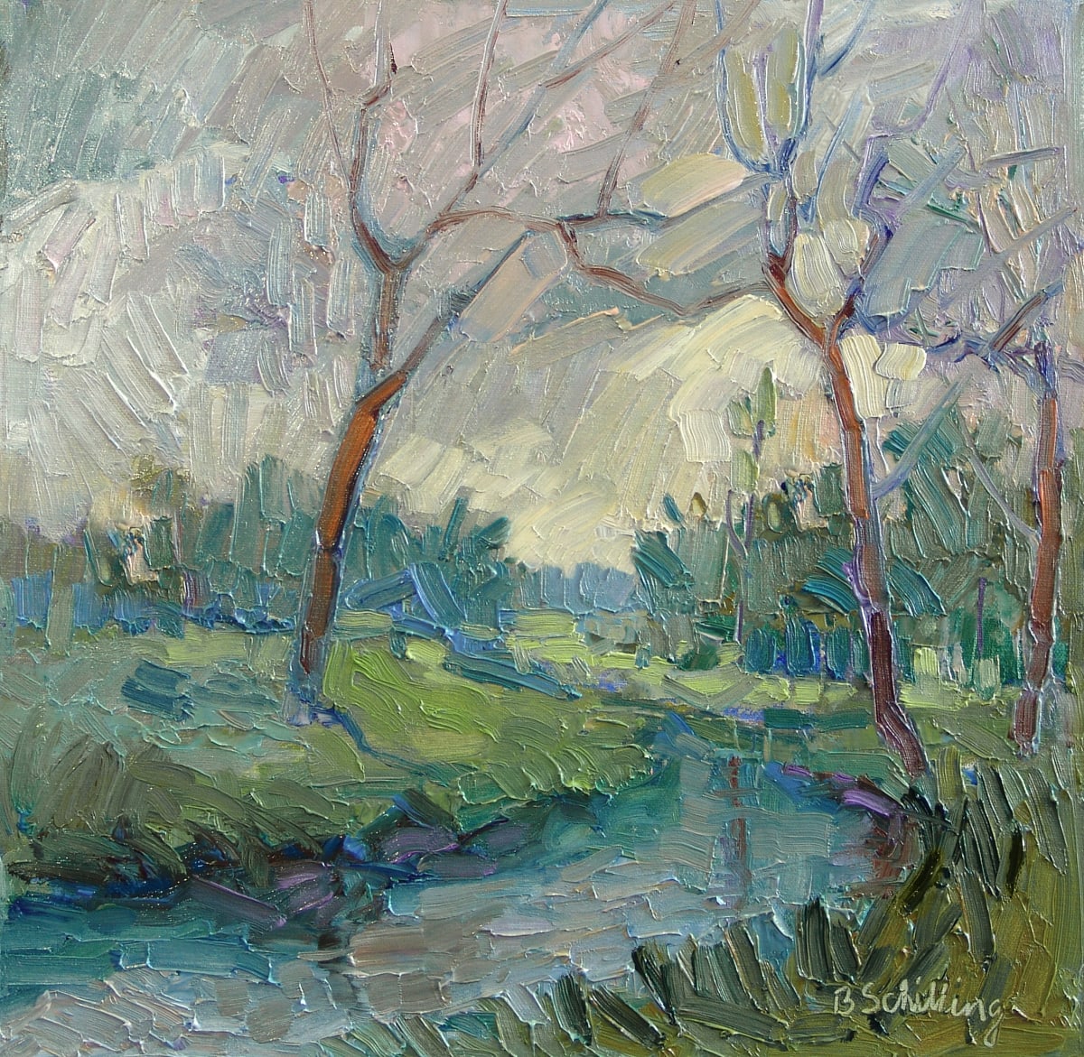 Stormy Sky by Barbara Schilling 