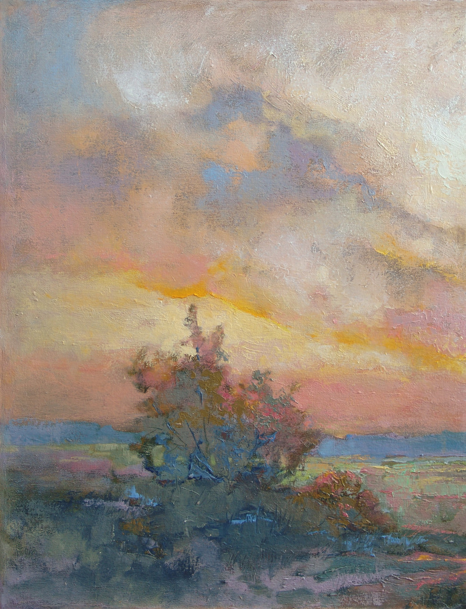 Sunset Valley Overlook by Barbara Schilling 