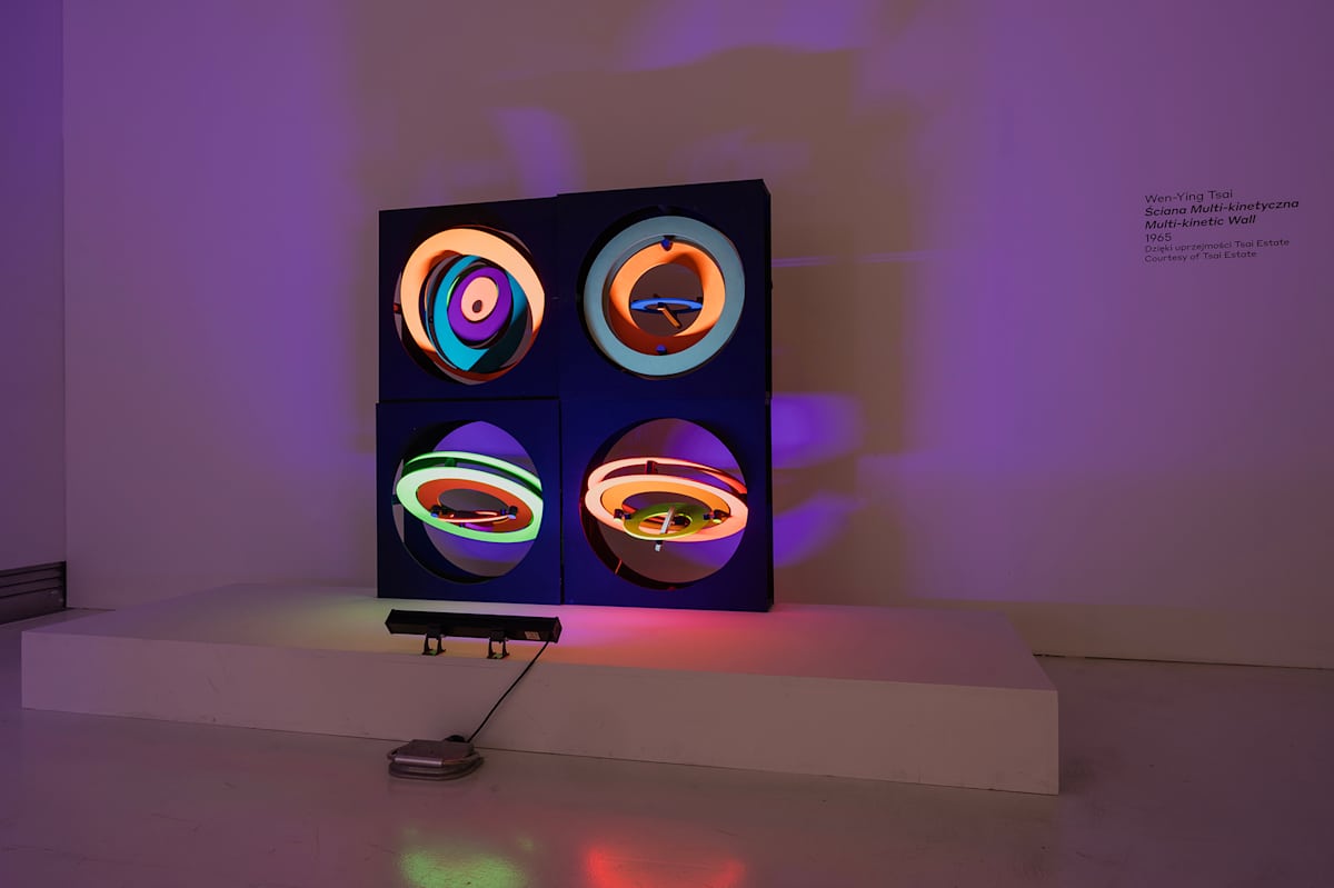 Multi-Kinetic Wall * (Quad #2) by Wen-Ying Tsai, Image 2.
