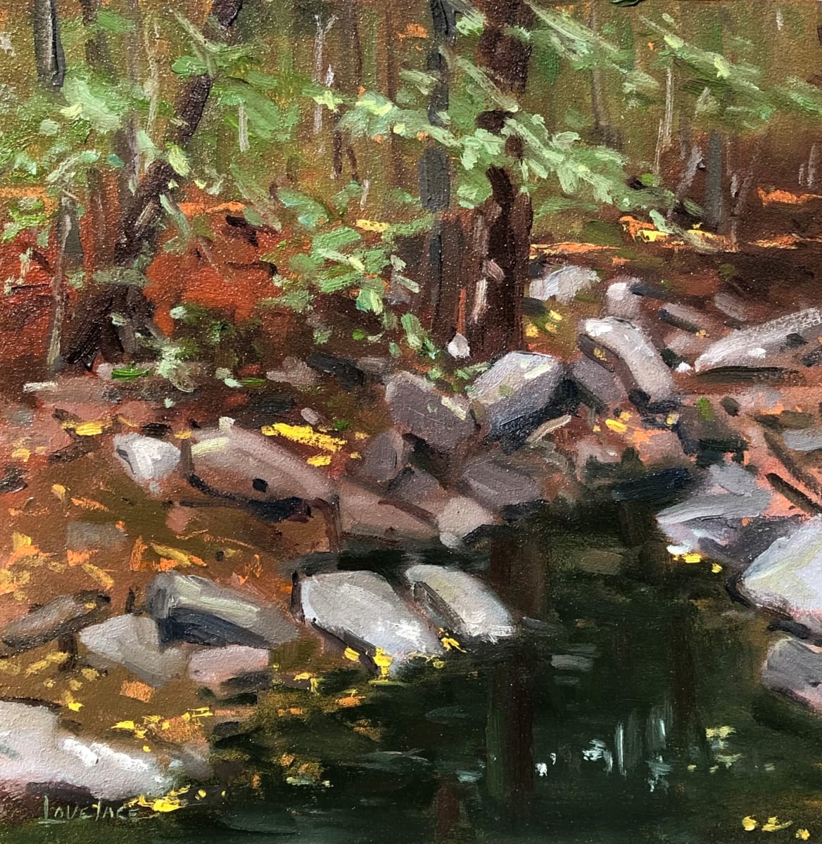 Catoctin Stream #2 by Deborah Lovelace Richardson 